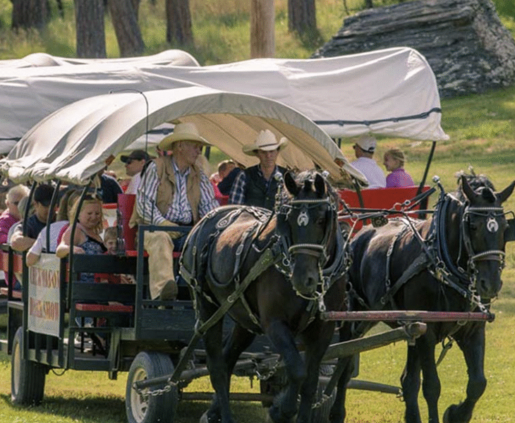 Palmer Gulch Stables: Black Hills (Mt. Rushmore Resort & KOA)